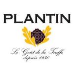 Plantin Truffes